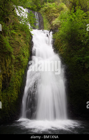 Bridal Veil Falls State Park dans la gorge du Columbia, région de Portland, Oregon, États-Unis d'Amérique Banque D'Images