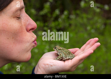 Woman kissing'Crapaud vert (Bufo viridis / Pseudepidalea virdis), Autriche Banque D'Images