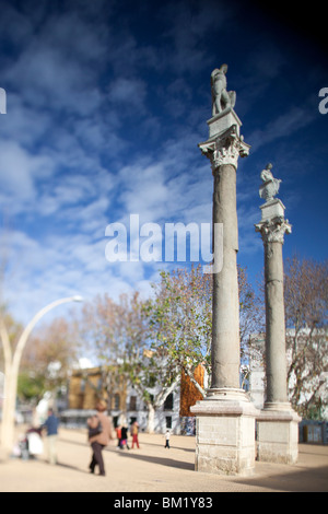 Colonnes romaines, la place Alameda de Hercules, Séville, Espagne. L'objectif utilisé incliné pour plus faible profondeur de champ. Banque D'Images