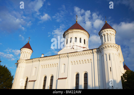 Église de la Sainte Mère de Dieu, Vilnius, Lituanie, Pays Baltes, Europe Banque D'Images