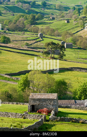 Granges traditionnelles et des murs en pierre sèche dans la région de Swaledale, Yorkshire Dales National Park, Yorkshire, Angleterre, Royaume-Uni, Europe Banque D'Images