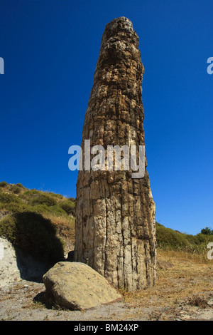 Tronc d'arbre fossilisé, à la forêt pétrifiée de Lesbos, Lesvos (Lesbos), Grèce Banque D'Images