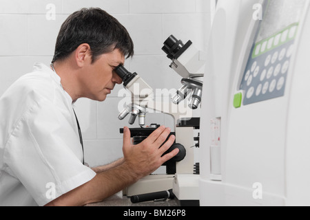 À la FEP dans un microscope Banque D'Images