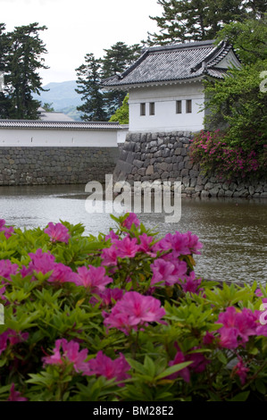 Château d'Odawara, un bastion du clan Hojo jusqu'à sa destruction, reconstruite dans les années 1960, le Japon Banque D'Images