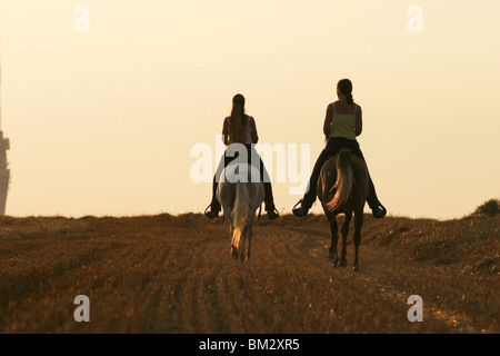 Reiter im Sonnenuntergang / cavalière dans le coucher du soleil Banque D'Images