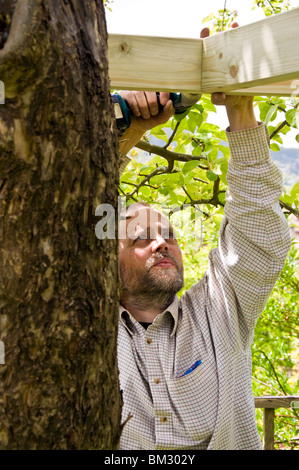 L'homme l'édification d'une cabane autour d'un pommier utilise un outil électrique sans fil Banque D'Images