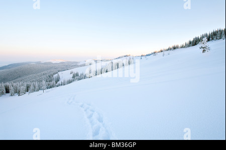 Lever du soleil et l'hiver rime et sapins couverts de neige sur la montagne. Vue depuis le mont Kukol. (Carpates, Ukraine) Banque D'Images