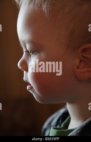 PROFIL DE TOUT-PETIT CHEVEUX BOUCLÉS BLONDS : un bébé garçon de deux ans profil bas bouclés boucles blondes cheveux mignon modèle libéré Banque D'Images