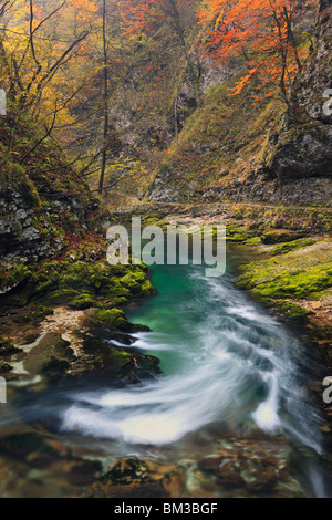Vue depuis le chemin le long de la Gorge de Vintgar près de Bled, en Haute-carniole. La Slovénie Banque D'Images