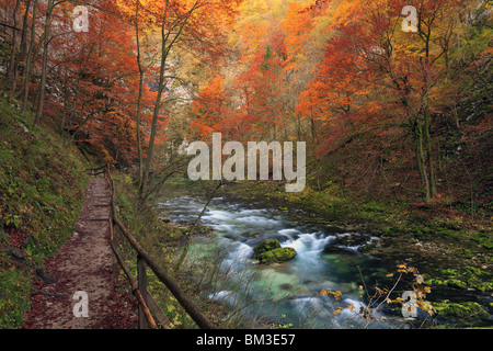 Vue depuis le chemin le long de la Gorge de Vintgar près de Bled, en Haute-carniole. La Slovénie Banque D'Images
