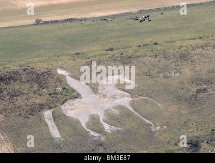 Cheval Blanc, vue aérienne de White Horse, Dorset, Angleterre, Royaume-Uni Banque D'Images