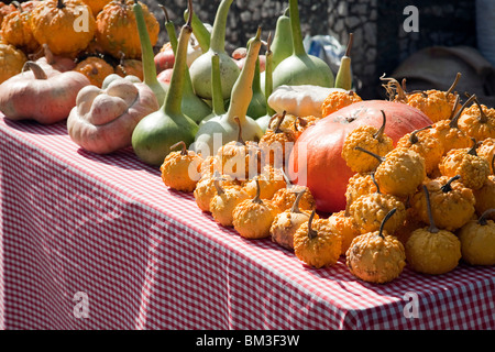 Hamburgers à vendre, ville de Castaño del Robledo, province de Huelva, Andalousie, Espagne Banque D'Images