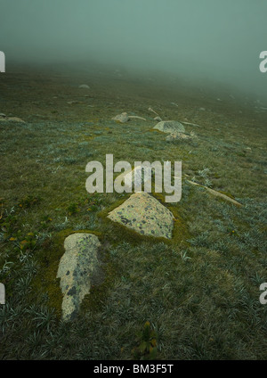 Stepping Stones en granite dans la brume, le Parc National de Kosciuszko, NSW Australie Banque D'Images