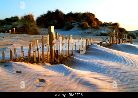 Dunes à Camber Sands, East Sussex Banque D'Images