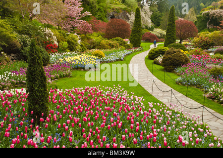 Jardin en contrebas au printemps dans les jardins Butchart-Victoria, Colombie-Britannique, Canada. Banque D'Images