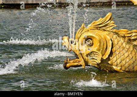 Poisson mythique dans l'eau du bassin du dragon, Grandes Eaux de Versailles Banque D'Images