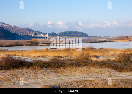 Conwy, Nord du Pays de Galles, Royaume-Uni. Vue sur la réserve RSPB Conwy lagunes côtières et l'habitat des prairies par l'estuaire de la rivière Afon Conwy Banque D'Images