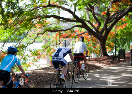 Les cyclistes dans la ville des jardins botaniques. Brisbane, Queensland, Australie Banque D'Images