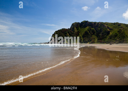 Afficher le long de KareKare beach. Karekare, Waitakere Ranges Regional Park, Auckland, île du Nord, Nouvelle-Zélande Banque D'Images