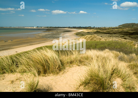 Merthyr Mawr warrens et plage bridgend Galles du sud Banque D'Images