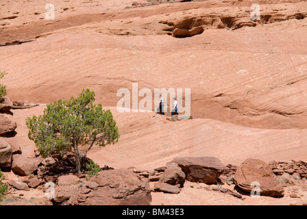 Deux randonneurs sur le sentier auto-guidé dans la région de Canyon de Chelly National Monument partie de la Nation Navajo au nord-est de l'Arizona, USA Banque D'Images