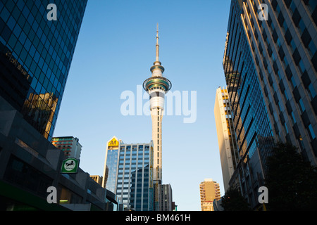 Afficher par ville tours à la Sky Tower. Auckland, île du Nord, Nouvelle-Zélande Banque D'Images