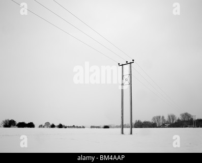 Double pylône de l'électricité bois posté dans un paysage de neige hiver couvert champ. Banque D'Images