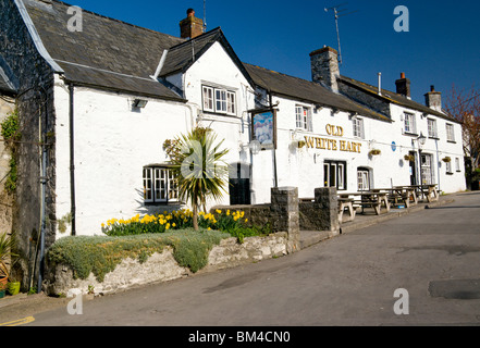 White Hart public House, Llantwit Major, Vale of Glamorgan, pays de Galles du Sud, Royaume-Uni. Banque D'Images