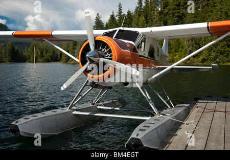 De Havilland DHC-2 Beaver en avion de brousse près de Ketchikan, Alaska, USA Banque D'Images