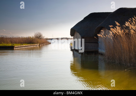 Avis de Hickling vaste chaume avec Norfolk à bateaux Banque D'Images