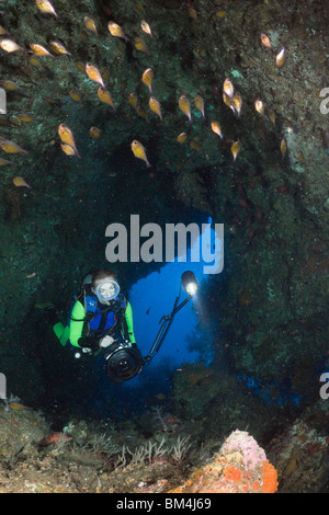 Scuba Diver en grotte, Raja Ampat, Papouasie occidentale, en Indonésie Banque D'Images