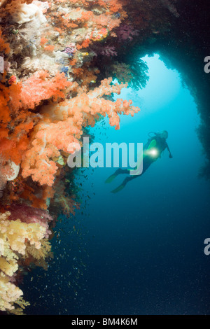 Coloful coraux dans une grotte, Raja Ampat, Papouasie occidentale, en Indonésie Banque D'Images