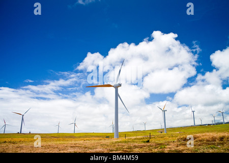 Eolienne à Uplolu Point, de Kohala, Big Island, Hawaii, USA Banque D'Images