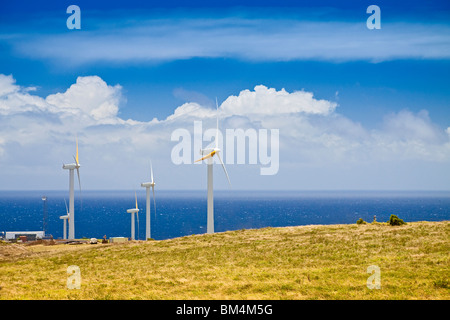 Eolienne à Uplolu Point, de Kohala, Big Island, Hawaii, USA Banque D'Images