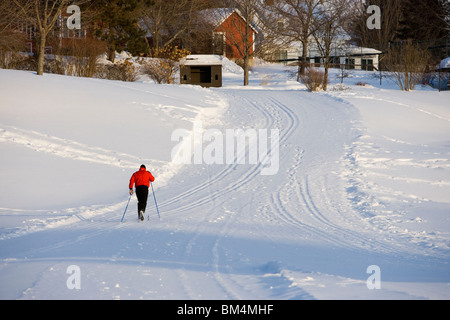 Un homme le ski de fond (ski de piste) sur une piste damée à Quechee, Vermont. Banque D'Images