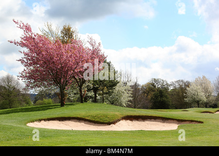 Le Club de Tytherington a été l'un des premiers du Royaume-Uni golf sur mesure et des clubs de santé et de conditionnement physique, ouvert en 1986 Banque D'Images