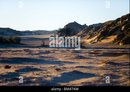 La route de la rivière Hoanib au Hourasib river, le long de la Côte des Squelettes en Namibie, à la frontière du parc. Banque D'Images