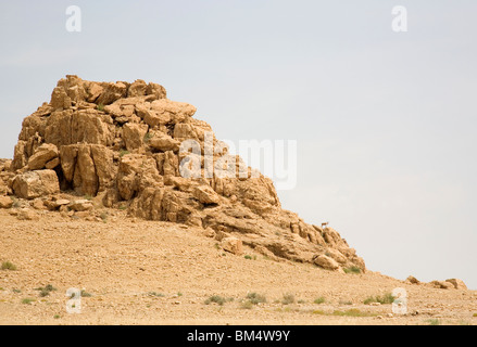 Kumran ou grottes de Qumran au désert de Judée - Israël Banque D'Images