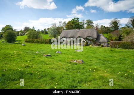 Chaumières sur Lockeridge doyen une zone parsemée de rochers Sarsen connue localement sous le nom de Grey Wethers. Wiltshire UK Banque D'Images