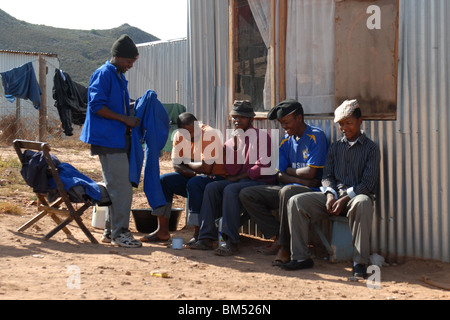 D'habitants, vivant dans le canton de canton de Nquebele près de Robertson, Afrique du Sud Banque D'Images