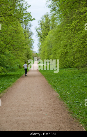 Jogger sur un chemin à travers l'Ouest Herts Golf Course, Watford, Hertfordshire, Royaume-Uni Banque D'Images