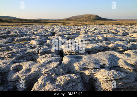 Lapiez mène à Whernside dans la distance, Ribblesdale, Yorkshire Dales National Park Banque D'Images