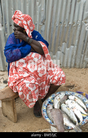 Femme sénégalaise à la vente du poisson dans les rues de Saint Louis. Au Sénégal, l'Afrique. Banque D'Images