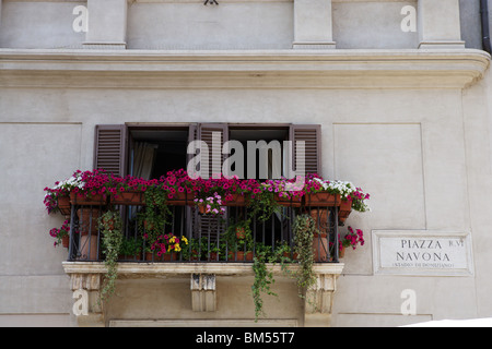 Balcon plein de fleurs sur la place Navona, Rome Italie Banque D'Images