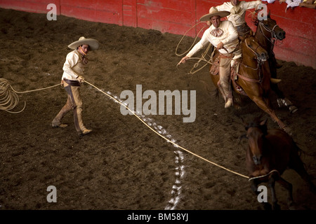 Charros mexicains lasso un cheval à une concurrence charreria à Mexico, 8 juin 2008. Banque D'Images