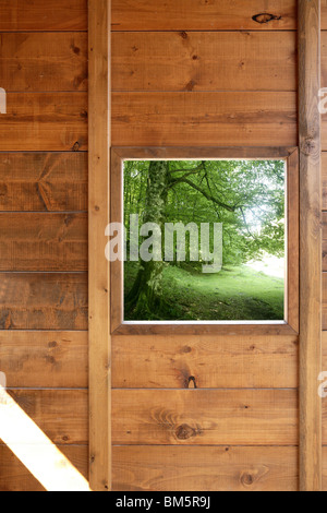 Fenêtre en bois vert jungle vue sur la forêt de bois chalet Banque D'Images