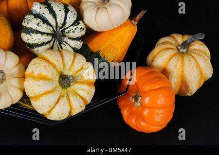 Citrouilles et courges en Panier en fil Banque D'Images