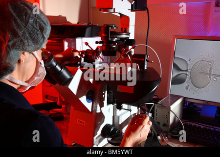 Clinique privée pour la fécondation in vitro. La fécondation artificielle. Spermatozoïde est injecté dans un ovule, par des micro-aiguilles, microscope Banque D'Images