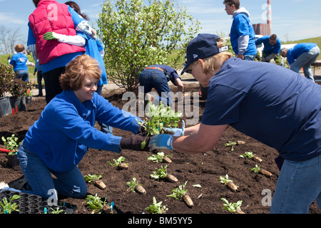 Les bénévoles de l'éducation des plantes Jardin des plantes indigènes à Detroit River International Wildlife Refuge Banque D'Images