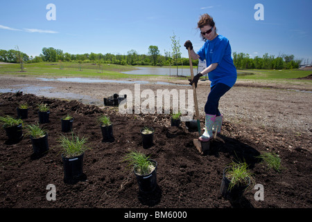 Les bénévoles de l'éducation des plantes Jardin des plantes indigènes à Detroit River International Wildlife Refuge Banque D'Images